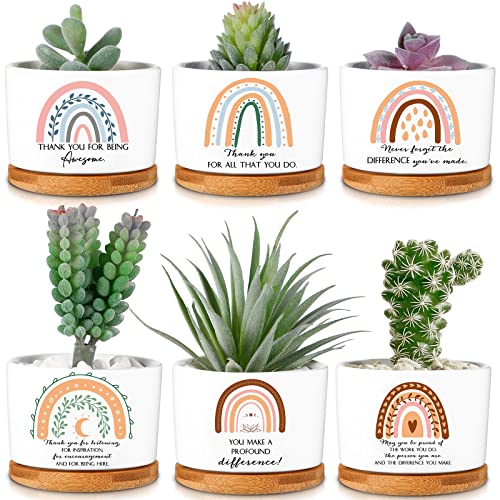 Sieral 6 Pcs Thank You Appreciation Gift Friends Succulent Pots Mini Ceramic Plant Pot...