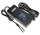 Akku- Ladegerät Modell: SHC- 8100LC