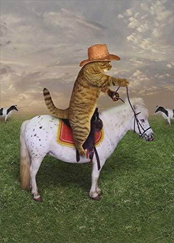 Designer Greetings Cowboy Cat Riding Small White Pony Funny/Humorous Birthday Card