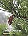 Compendium of Conifer Diseases: Second Edition
