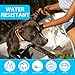 Pets4Luv Flohhalsband für Hunde, natürliche Floh- und Zeckenhalsbänder für Hunde, 8 Monate Schutz, Einheitsgröße für alle Hunde, verstellbares wasserdichtes Design, 3 Stück…