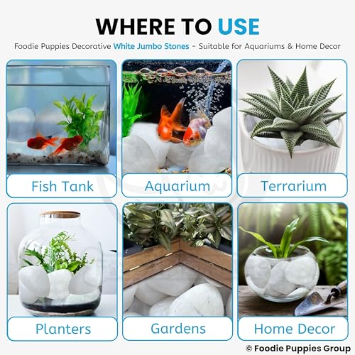 Image of Foodie Puppies White Polished River Rock Stones (White Jumbo, 1Kg) (4cm - 6cm, Extra Large) Decorative Pebbles for Aquarium /Fish Tank, Garden, Home Decor & Pool, Natural Polished Unplanted Substrate