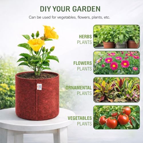 Image of Casa De Amor 400 GSM Geo Fabric Plant Grow Bag Suitable for Terrace and Flowers Vegetable Gardening (Maroon, 10x10 Inch Pack of 3)