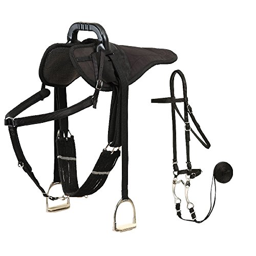 Colorado Saddlery The English Natural Ride Package