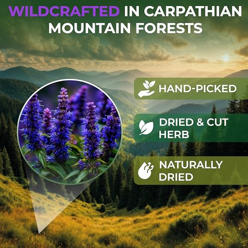 Image of 50 Bags Hyssop Dried Herb Hyssop Tea Herbal (Hyssopus Officinalis) - 50 Count 1.5 g Tea Bag Herb Hyssops Hissop Hysopp Hisopo