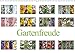 Produktbild Gartenfreude (Wandkalender 2019 DIN A3 quer): Des Gärtners Freude ist wenn alles blüht. (Monatskalender, 14 Seiten ) (CALVENDO Natur)