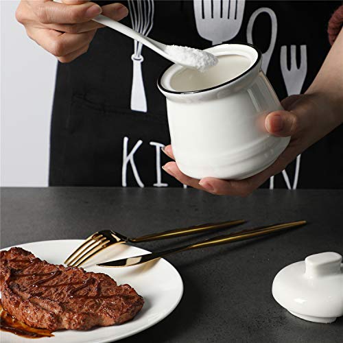 HAOTOP Porcelain Salt Bowl with Lid and Spoon