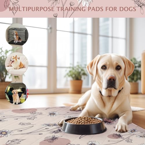 Image of IEUUMLER Washable Pee Pads for Dogs, 2 Pack Non-Slip & Waterproof Pack Whelping Pad, Reusable Washable Puppy Potty Training Pad with Fast Absorbent for Playpen EU007 (Pink Daisy, 24 inchX18 inch-2pcs)