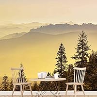 Wall Mural Sunset Sunrise Background Nature Scenery Removable Self-Adhesive Wallpaper Wall Decoration for Bedroom Living Room - 66x96 inches