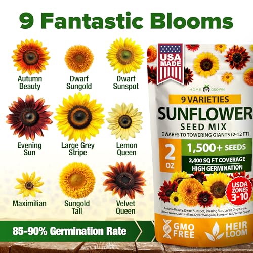 Image of HOME GROWN Sunflower Seeds Mix Pack 1,500+ 9 Colorful Varieties of Sun Flower Seeds to Plant - 2-10ft Tall Plants, Pollinator Friendly, Easy to Grow, High Germination