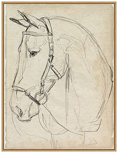 Amanti Art Framed Canvas Wall Art 30x23 Horse in Bridle Sketch II by Jennifer Paxton Parker, Framed Wall Art Canvas, Animals Artwork, Modern Contemporary Decor, Large Painting for Living Room, Bedroom