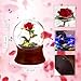 Rose Snow Globe Music Box, Preserved Red Rose Flower Musical Snow Globe LED Light Up Rose Snowglobe Water Globe Rose Gift for Women Girls, Romantic Gift for Mother's Day,Anniversary