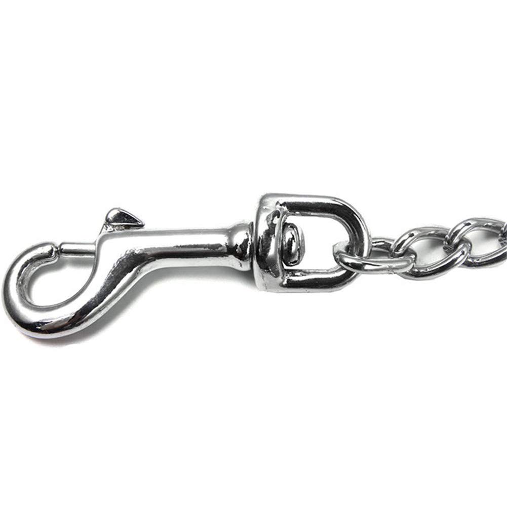 Correa de perro de doble asa Correa de perro acolchada de doble correa Correa de perro azul Correas de perro Uk Dog Long Line Biothane Long Line Long Lead Dog Lunge Line para caballos Long Dog Leads