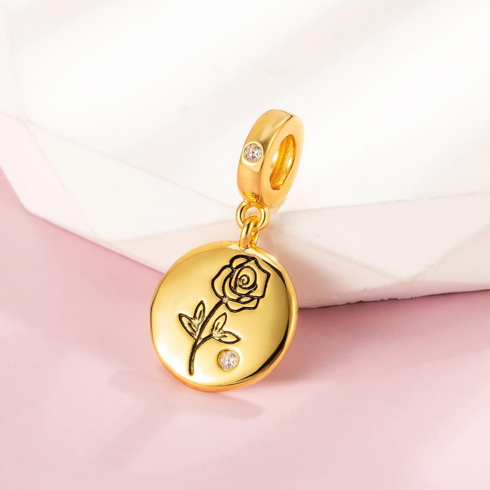 LaMenars Charms for Women Bracelets & Necklace, 925 Sterling Silver Family Love Pet Pendant Dangle, Birthday & Holiday Gift Idea for Women - Image 2