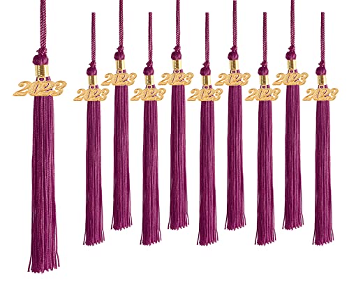 Uialecg 10 Pieces Graduation Tassels Whit Charm 2023 For Graduation Cap And Gown,Maroon #TOP3