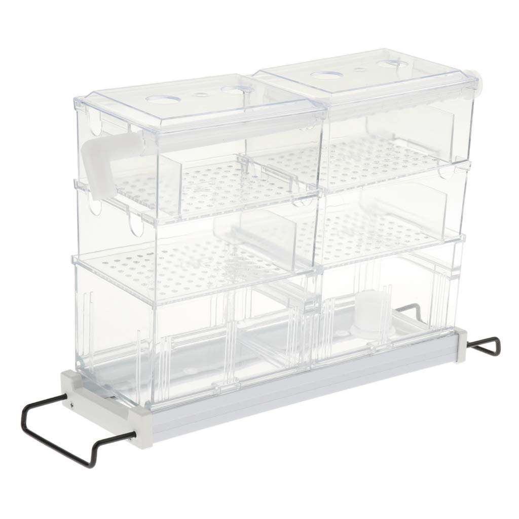 Transparent Aquarium Filter Box Filterkasten Fish Tank Filterausstattung