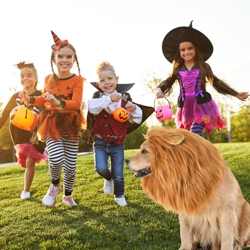 GWAWG Löwenmähne Hund mit Schwanz, Verstellbare Haustier Löwenperücke & Pelziger Schwanz Set, Hundekostüm Halloween Dress Up Fancy Party Outfit