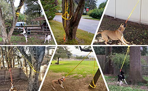 Outdoor Dog Toys For Large Dogs Outdoor Tug Toys For Large Dogs