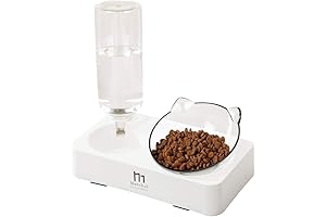 Marchul Tilted Cat Bowl Set for Food and Water: Essentials Your Cat Needs