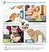 Leckmatte für Hunde und Katzen mit Saugnäpfen, langsames Füttern, Lecken für Angstzustände, Hundespielzeug, Fütterungsmatte für Butter, Joghurt, Erdnuss, Haustier-Badetrainingsmatte, 20 * 20cm