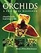 Orchids a Practical Handbook: A Beautiful Guide to Growing Orchids