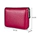 Aiyo Fashion Genuine Leather Credit Card Holder Wallet RFID Blocking Secure Card Case ID Case Organizer Zipper Wallet