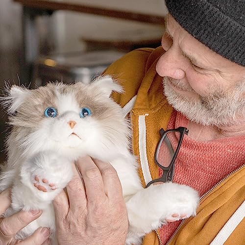 Chongker Weighted Stuffed Animals 4.5Lb,Realistic Ragdoll Cat Lifelike Size And Weight Cat Plush,Companion Gifts For Adults And Kids #TOP2