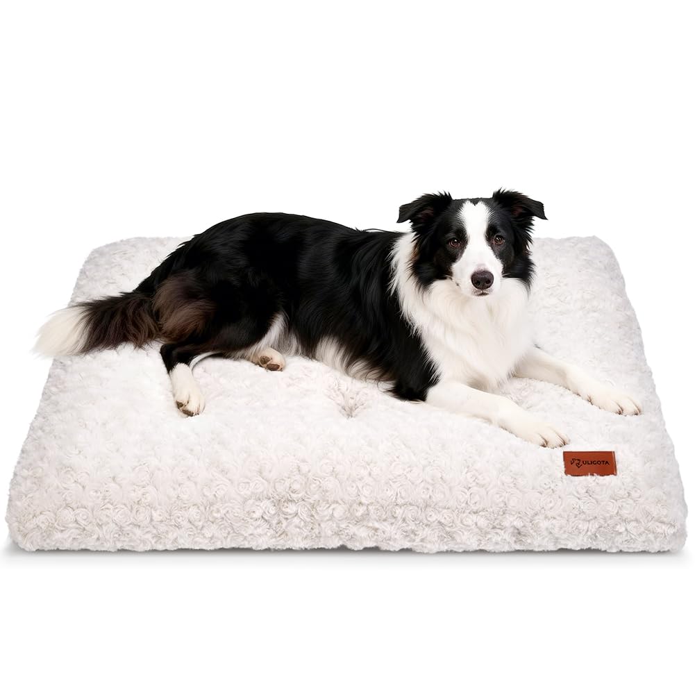 Dog Bed Crate Pad - Rosette Pattern White Velvet Pet Bed Anti-Slip Comfy Kennel Pad for Crates Rosette White L