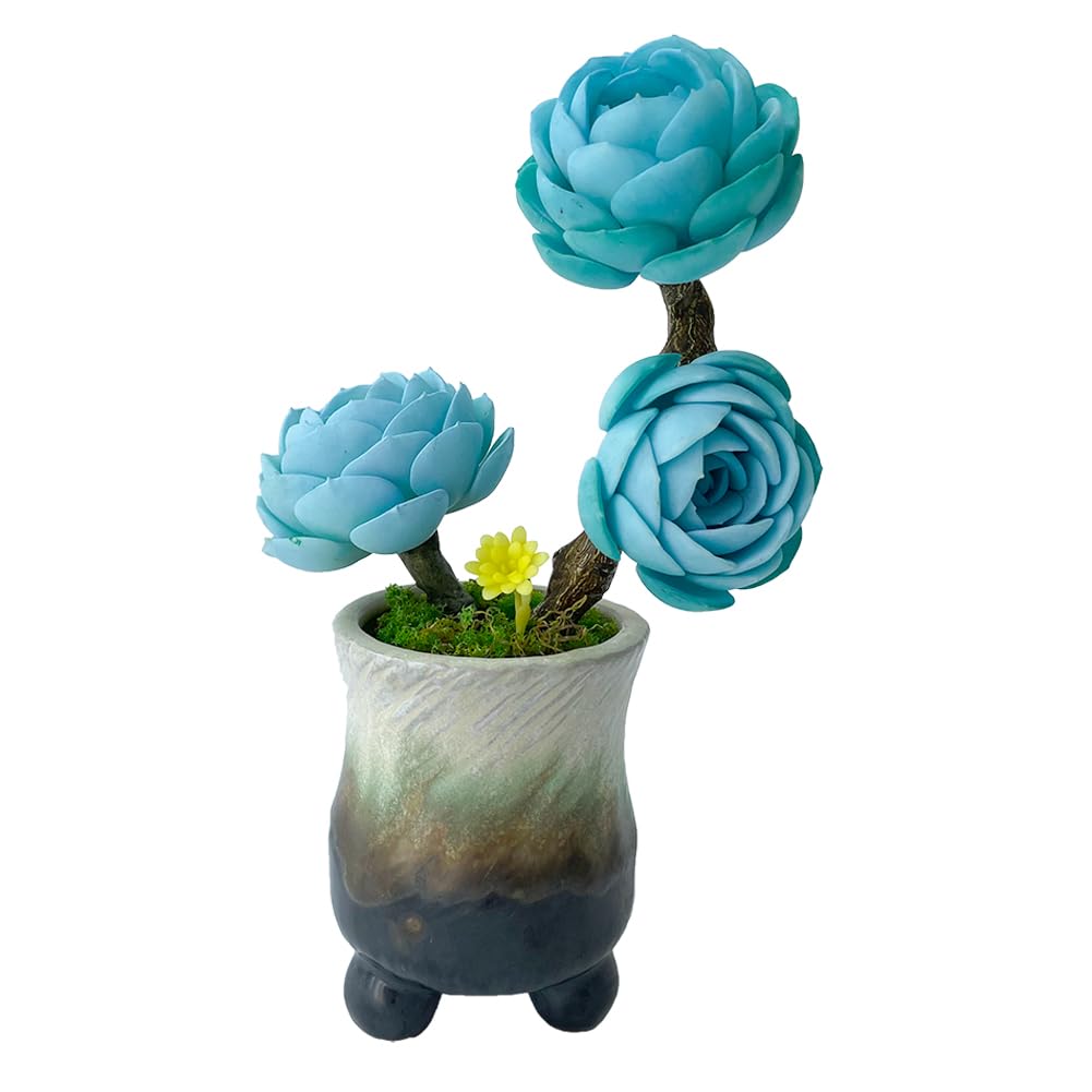 Airbirhom Realistic Clay Artificial Succulents Gifts,Assorted Small Fake Anna Rose Succulents Plants in Pots Decorative for Bedroom,Office, Desk,Living Room,Table Shelf Windowsill
