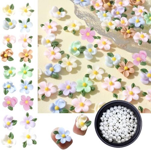 lCp[c {  ʕ  lN^C 50 3D   lC p[c  KN o  ni C`S ~j  [Y   WFlC (p[ƃuIt)JP601 (B8--N`iV)