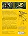 Gardening for the Birds: How to Create a Bird-Friendly Backyard