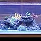 Veemoon Zerkleinerte Korallen Für Süßwasseraquarien Zerkleinerte Korallen Für Aquarien Mit Netzbeutel Für Aquarienteichzubehör