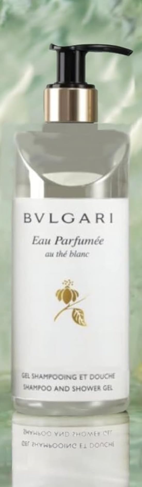 Amazon.com : BVLGARI Eau Parfumee au the blanc/White Tea Shampoo