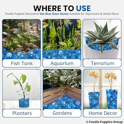 Image of Foodie Puppies Flat Glass Clear Stone (400gm, Sea Blue) (2cm - 2.5cm) for Aquariums, Fireplace, Firepit Glass for Indoor and Outdoor, Vase Filler, Hydroponics Plants, Home Decor, and DIY Craft