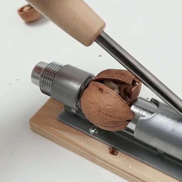 Amazon.com: Pecan Sheller Machine Desktop Heavy Duty Pecan Nut