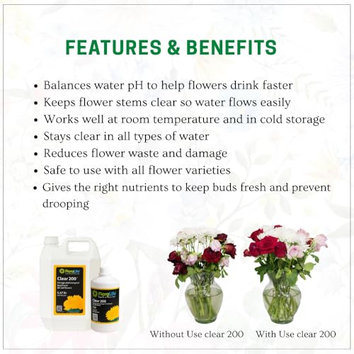 Image of Oasis FloraLife Clear 200, Solution To Keep Cut Flowers Fresh During Storage & Transport (H-200) 5ltr 1 Bottle