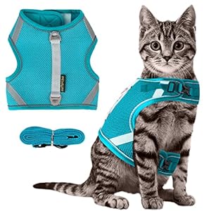 Pettorina e Guinzaglio per Gatti con Mesh, Regolabile, Antifuga, Riflettente - Taglia S, Verde
