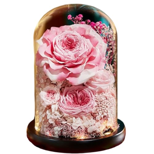 プリザード フラワー 枯れない花 お花 誕生日 花 ギフト 薔薇 ドライフラワー フラワー ギフトガラスドーム LEDライト 手作りのお花 誕生日女友達 母の日感謝お年寄りへの敬意記念日プレゼント (スイートパウダー)のサムネイル