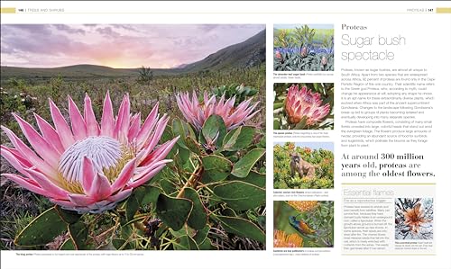 Image of Plants and Fungi: The Definitive Visual Encyclopedia