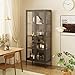 UNICOLY Glass Display Cabinet 4-Tier, Display Cabinet with Glass Doors, Curio Display Cabinet with Tempered Glass Doors,Metal Storage Cabinets for Living Room, Plant, Assembly Required, Black