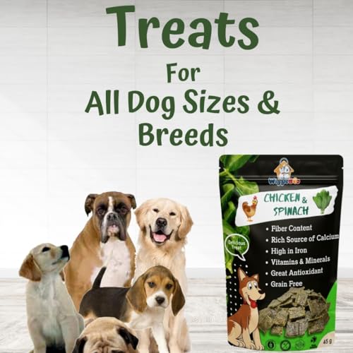 Image of Chicken & Spinach Dog Treat | Protein Rich | Fiber Rich | Crunchy Healthy Snacks | 45g