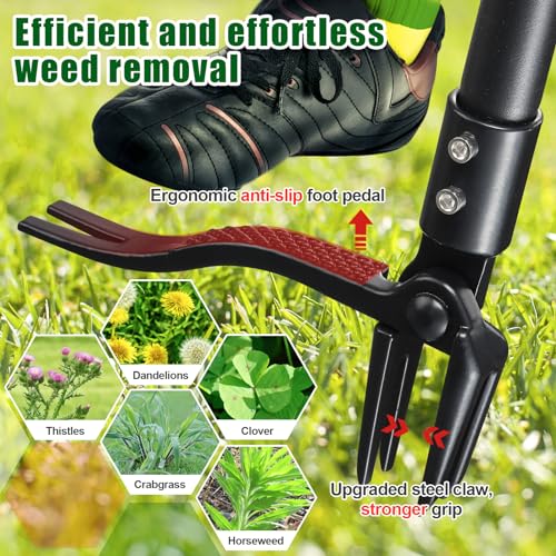 Stand Up Weed Puller Tool - 38 to 65\" Long Handle Weed Remover Tool with 4-Claw Steel Head for Easily Pulling Dandelion,Crabgrass,Root Remover,Heavy Duty Weed Grabber Picker for Lawn Yard Garden - Thumbnail 2