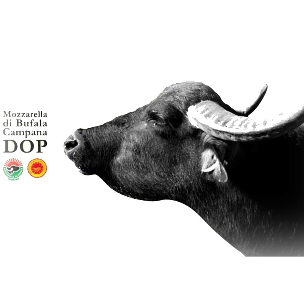 Mail - Mozzarelloni di Bufala Campana Dop, 2 kg