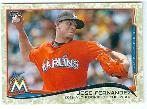 Amazon.com: Jose Fernandez baseball card (Miami Marlins Rookie of