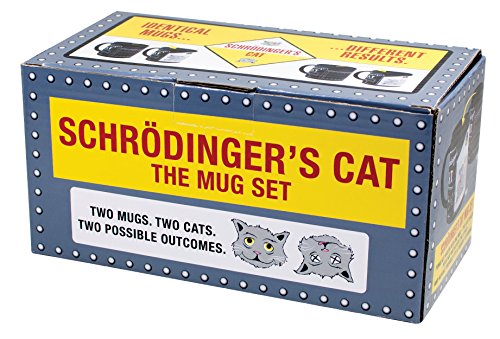 Set de 2 Mugs Térmicos Cambia Color Schrodinger miniatura 6