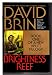 Brightness Reef  (Bantam Spectra Book)