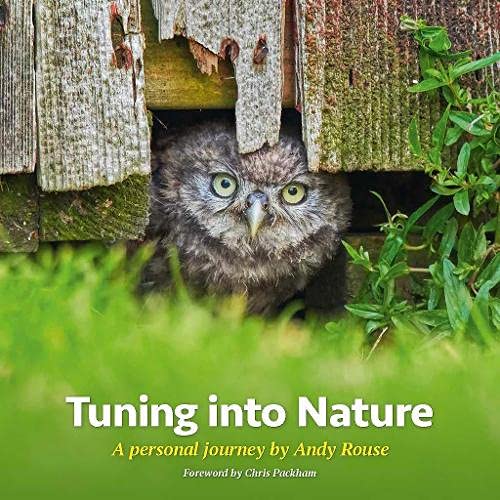 Wildmanrouse's Amazon page