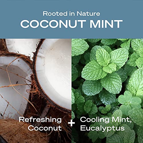 Hey Humans Coconut Mint Vegan, Aluminum Free Deodorant With Natural Ingredients, Coconut Oil & Shea Butter | All Day Odor Protection For Women & Men | Earth-Friendly Packaging, 2 Oz. - Pack Of 4 #TOP3