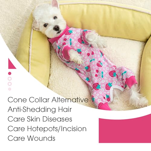 Image of Dog Surgery Recovery Suit for Small Dogs, 4-Legged Dog Onesie After Surgery with Back Snaps, Breathable Cotton Spay and Neuter Bodysuit for Female and Male Dogs