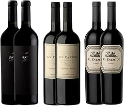 6 Vinhos Argentinos - 2 Alma Negra + 2 Dv Cantena Cabernet Malbec + 2 El Enemigo Malbec